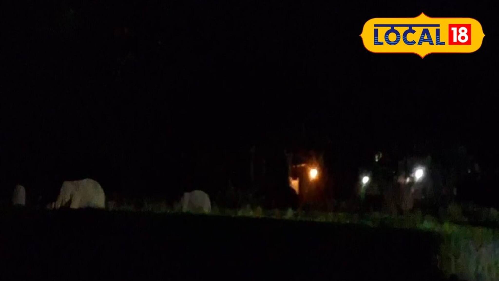 শীতের আমেজ শুরু হতেই বাড়ছে আতঙ্ক! দলে দলে হানা দিচ্ছে 'ওরা'! বিশেষ নম্বর চালু করল দফতর