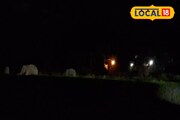 শীতের আমেজ শুরু হতেই বাড়ছে আতঙ্ক! দলে দলে হানা দিচ্ছে 'ওরা'! বিশেষ নম্বর চালু করল দফতর
