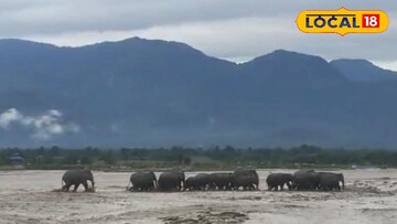 বনকর্মীদের