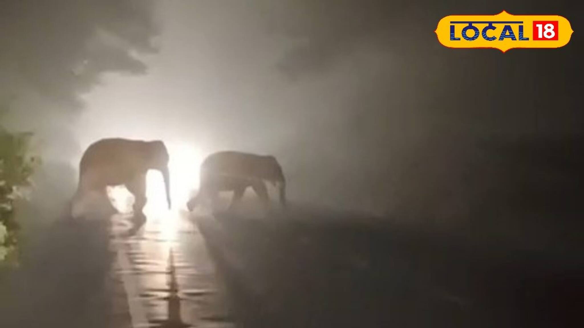 গভীর রাতে রাস্তায় সবাই দাঁড়িয়ে, নজর এক জায়াগায়! গায়ে কাঁটা দেওয়ার মতো দৃশ্য