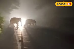 গভীর রাতে রাস্তায় সবাই দাঁড়িয়ে, নজর এক জায়াগায়! গায়ে কাঁটা দেওয়ার মতো দৃশ্য