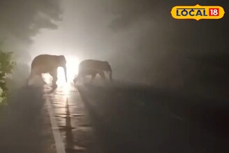 গভীর রাতে রাস্তায় সবাই দাঁড়িয়ে, নজর এক জায়াগায়! গায়ে কাঁটা দেওয়ার মতো দৃশ্য