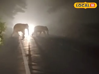 গভীর রাতে রাস্তায় সবাই দাঁড়িয়ে, নজর এক জায়াগায়! গায়ে কাঁটা দেওয়ার মতো দৃশ্য