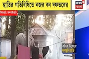 খাবারের খোঁজে উঠোনে দলছুট দাঁতাল! হুলস্থুল কাণ্ড বানারহাটের বিন্নাগুড়িতে