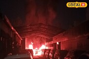 গাড়ির শো-রুমে আগুন, দাউ দাউ করে পুড়ল ৯ গাড়ি! কোথায়, কীভাবে ঘটল এমন ঘটনা? দেখুন ভিডিও