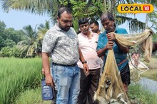 Fish Farming : এবার জীবাণু 'রাজা' করে দেবে মাছ চাষিদের! ডবল লাভ আসবে ঘরে, কমবে মাছের মড়ক! ফল দেখবেন হাতেনাতে
