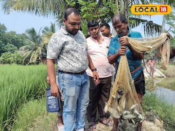 ধরা