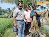 এবার জীবাণু 'রাজা' করে দেবে মাছ চাষিদের, ডবল লাভ আসবে ঘরে! কীভাবে জানুন