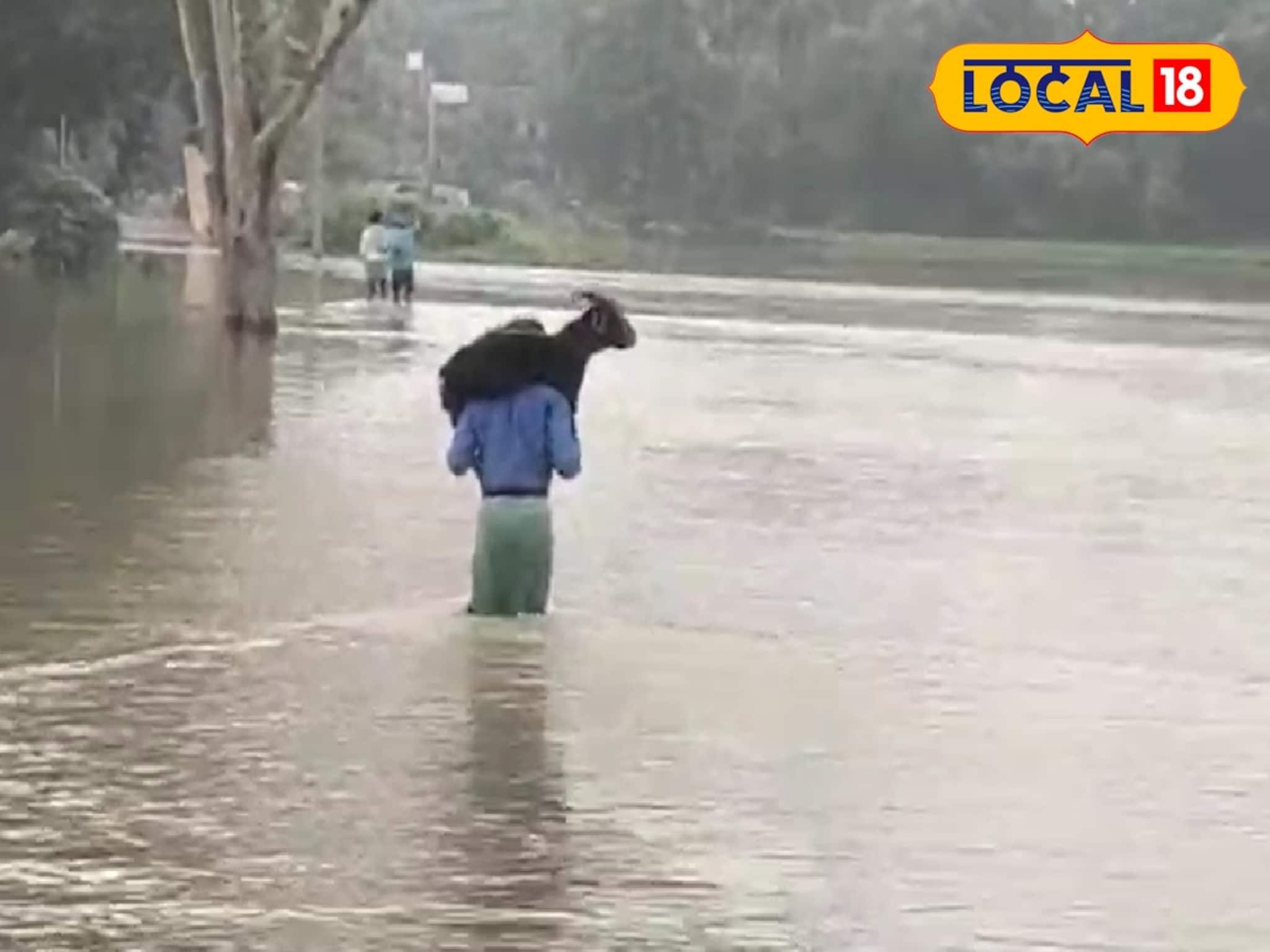 প্রথম বন্যার ক্ষত শুকোয়নি এখনও! ফের শীলাবতীর রুদ্ররূপে কাঁপছে চন্দ্রকোনা