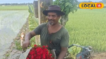 নিম্নচাপে