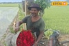 কালীপুজো বাজারে এবার নতুন চাপ! ফুল কিনতে গিয়ে নাকানিচোবানি না খেতে হয়