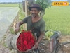 কালীপুজো বাজারে এবার নতুন চাপ! ফুল কিনতে গিয়ে নাকানিচোবানি না খেতে হয়