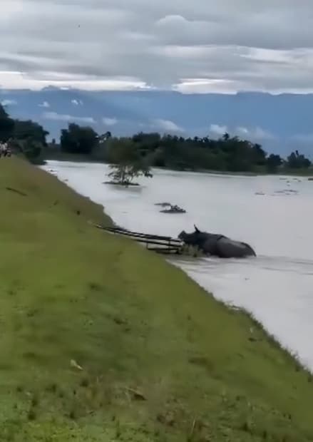 এরপরই পর্যটনের সব রকম কার্যকলাপ আপদকালিন পরিস্থিতির জন্য বন্ধ করেছে জলদাপাড়া জাতীয় উদ্যান কর্তৃপক্ষ। হাতি সাফারি, জঙ্গল সাফারি সব বন্ধ করা হয়েছে।
