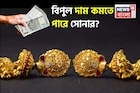 সোনার দামে পতন, ৫০% পর্যন্ত কমে যেতে পারে ? জেনে নিন কখন