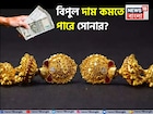 সোনার দামে পতন, ৫০% পর্যন্ত কমে যেতে পারে ? জেনে নিন কখন