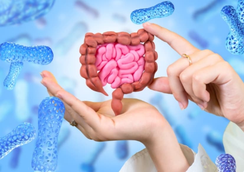 গেঁজানো ভাত, যা বিভিন্ন অঞ্চলে পাজায়া সাধম, পান্তা ভাত, অথবা দই ভাত নামে পরিচিত, তা দীর্ঘদিন ধরে ঐতিহ্যবাহী ভারতীয় খাদ্যতালিকার বিশেষ অংশ, বিশেষ করে উষ্ণ জলবায়ুতে। যখন ভাত ভিজিয়ে রাখা হয় বা রাতারাতি গেঁজানোর জন্য রেখে দেওয়া হয়, তখন এটি প্রোবায়োটিক সমৃদ্ধ হয়, যা ভাল ব্যাকটেরিয়া তৈরি করে অন্ত্রের স্বাস্থ্যকে সমর্থন করে, হজমশক্তি উন্নত করে এবং রোগ প্রতিরোধ ক্ষমতা শক্তিশালী করে।