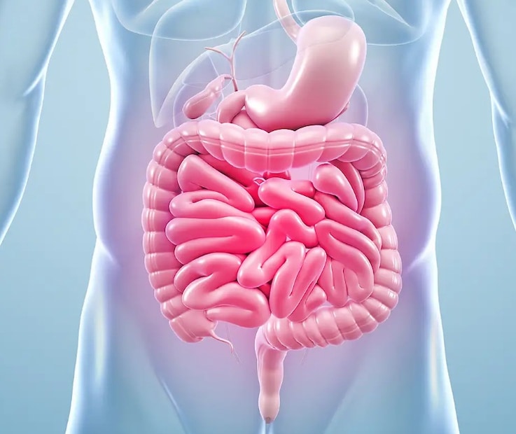 গাঁজন প্রক্রিয়াটি আয়রন এবং ভিটামিন বি১২ এর মতো প্রয়োজনীয় পুষ্টির জৈব উপলভ্যতাও বৃদ্ধি করে, একই সঙ্গে স্টার্চ ভেঙে পেটের জন্য খাবারটি হালকা করে তোলে। দই এবং পেঁয়াজ দিয়ে, জ্যাকি যেভাবে খান, খাবারটি শরীর শীতল রাখার মহৌষধে পরিণত হয়, বিশেষ করে বাইরে দীর্ঘ সময় বা গরমে থাকার পরে।