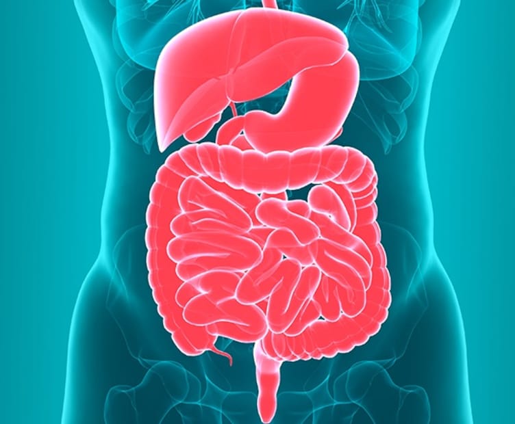 জ্যাকির খামারবাড়ি ধীর, টেকসই জীবনযাপনের একটি আদর্শ উদাহরণ। তাঁর বাগানে দেখা যাবে তাজা সবুজ শাক, রান্নাঘরে মাটির পাত্র, মরশুমি ও স্বদেশি খাবারের প্রতি গভীর শ্রদ্ধা হেঁশেলের রন্ধনশৈলীতে ফুটে ওঠে। জ্যাকির দই ভাত আমাদের মনে করিয়ে দেয় যে, কখনও কখনও সবচেয়ে শক্তিশালী রেসিপিগুলিই সবচেয়ে সহজে প্রস্তুত করা যায়, যা আমাদের মাটির সঙ্গে, আমাদের পূর্বপুরুষদের সঙ্গে এবং প্রকৃত পুষ্টির সঙ্গে সংযুক্ত করে।