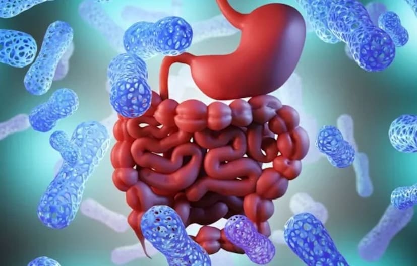 অভিনেতার ফার্মহাউসের খাবার একটি চিরন্তন দিকে জোর দেয়- বাড়িতে যখন গেঁজানো ভাতের পাত্র থাকে, তখন আমদানি করা প্রোবায়োটিকের প্রয়োজন হয় না। এটি বাজেট-বান্ধব, শরীর-বান্ধব এবং ভারতীয় পাকশৈলীর গভীরে প্রোথিত সত্য। তা প্রমাণ করে যে প্রকৃত স্বাস্থ্য প্রায়শই আমাদের নিজস্ব রান্নাঘর থেকেই শুরু হয়।