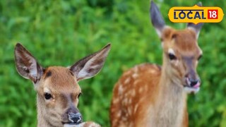 প্রতিকী ছবি