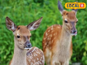 প্রতিকী ছবি