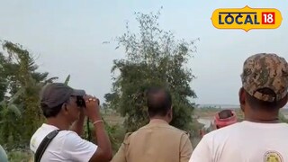 বন কর্মীদের টহল