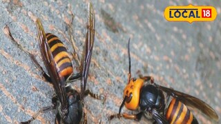 প্রতিকী ছবি।