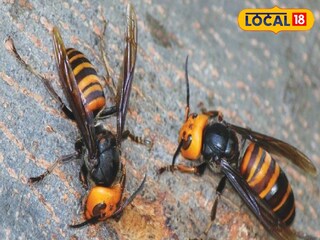 প্রতিকী ছবি।