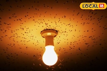 Shyama Poka Home Remedies: আলো জ্বালালেই ঘরে ঢুকে পড়ছে পোকা? এই সহজ উপায়ে এক সেকেন্ডে পালাবে সব পোকা-মশা!