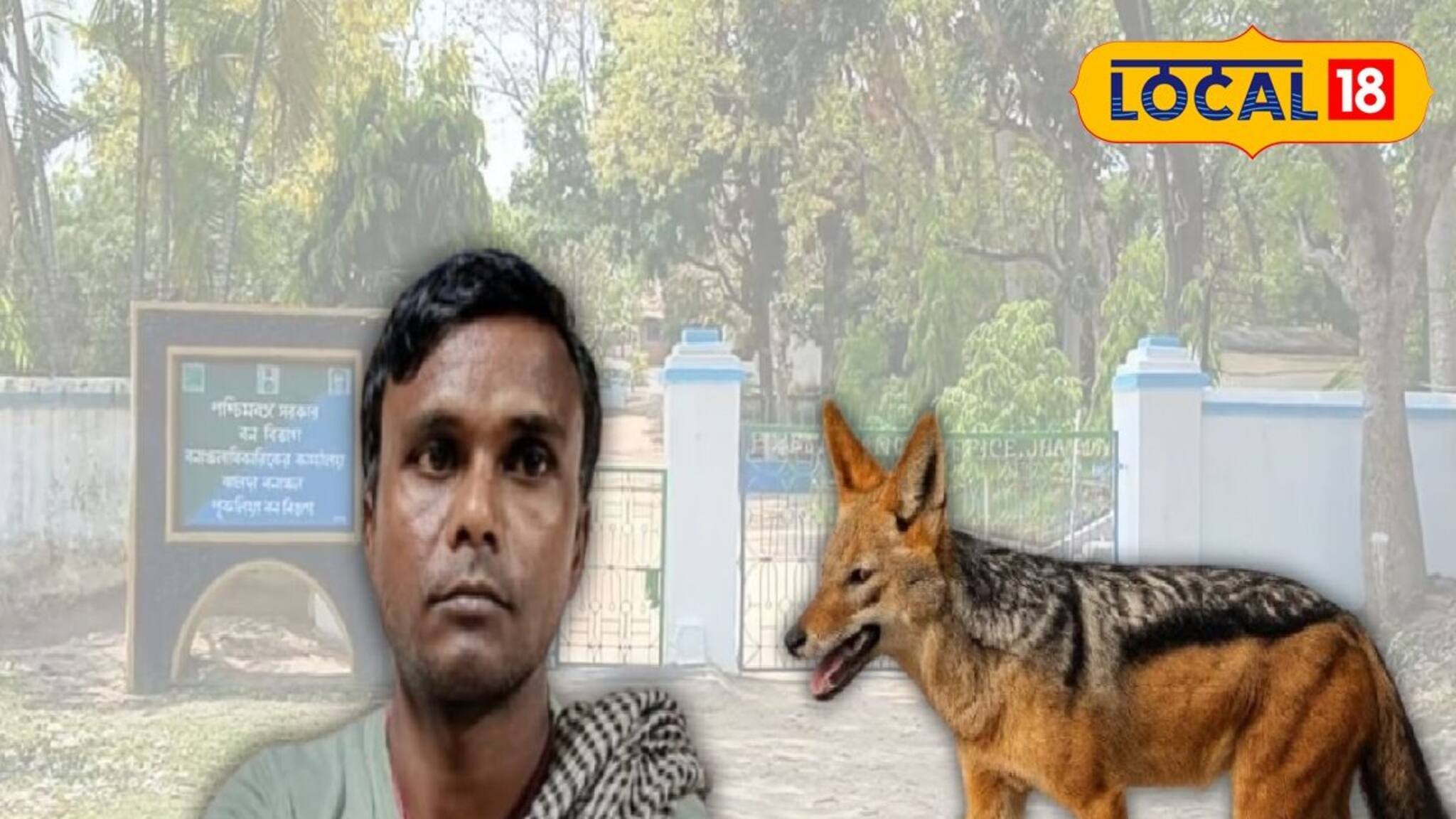 ছাগলের উপর শিয়ালের হানা, বাঁচাতে গিয়ে আহত হতেই রুদ্রমূর্তি মালিকের! শিয়ালকেই দড়ি বেঁধে ঘোরালেন গ্রাম, তারপর...