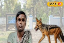 ছাগলের উপর শিয়ালের হানা, বাঁচাতে গিয়ে আহত মালিক, তারপর যা ঘটল পুরুলিয়ায়
