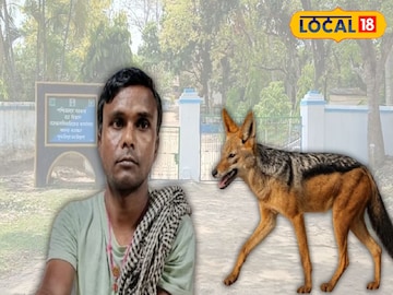 শিয়ালের
