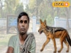 ছাগলের উপর শিয়ালের হানা, বাঁচাতে গিয়ে আহত মালিক, তারপর যা ঘটল পুরুলিয়ায়