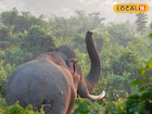 খিদের জ্বালায় মাথার ঠিক নেই ওদের, যখন-তখন হানা গ্রামে! বিপদ রুখতে মাঠে স্পেশাল টিম