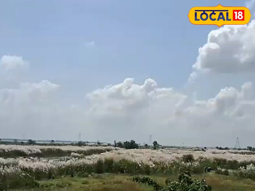 উত্তরবঙ্গের এই সকল জেলাগুলির মধ্যে আবার দক্ষিণ দিনাজপুরের সর্বোচ্চ তাপমাত্রা ৩৪ ডিগ্রির কাছাকাছি থাকতে পারে। কোচবিহারে তাপমাত্রা ও অনেকটাই বেশি থাকবে। জলপাইগুড়ির সর্বোচ্চ তাপমাত্রা গত ২৪ ঘন্টায় ৩৫ ডিগ্রির বেশি ছিল। এই সকল জেলাগুলিতে আপাতত গরম থেকে রেহাই মিলবে না।