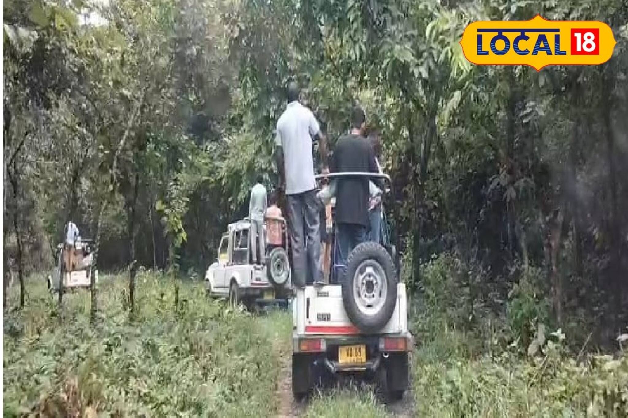 পর্যটকদের জন্য বড় সুখবর, দুর্যোগ কাটিয়ে ফের শুরু হল জঙ্গল সাফারি! তবে সব জায়গায় নয়