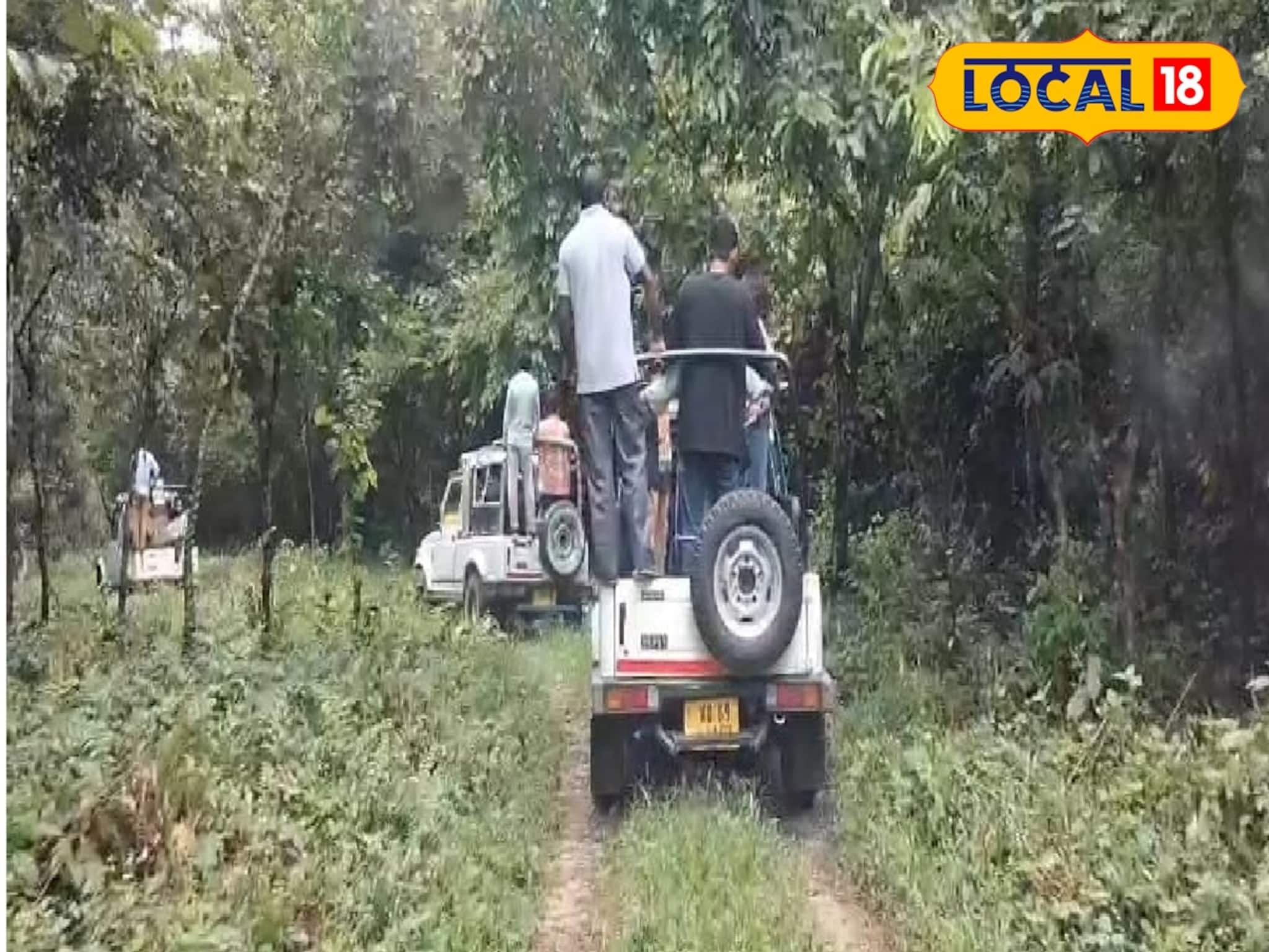 Alipurduar Tourism: পর্যটকদের জন্য বড় সুখবর, দুর্যোগ কাটিয়ে ফের শুরু হল জঙ্গল সাফারি! তবে সব জায়গায় নয়
