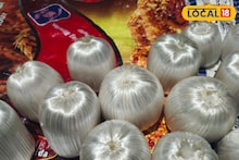 দিনে ৩০ হাজার টাকা পর্যন্ত বেচাকেনা, কালীপুজোর আগে দারুণ চাহিদা 'এই' মিষ্টির
