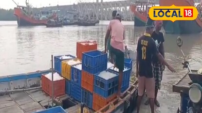 কাকদ্বীপে চলছে মাছ ধরার কাজ কাকদ্বীপে চলছে মাছ ধরার কাজ