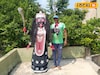 এই 'বিশেষ পোষাক' পরলে চোখের সামনে হাজির হবেন মহাকালী, দেবীকে মনে হবে জীবন্ত