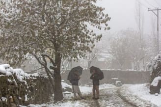 পহেলগাঁও হামলার দুঃস্বপ্ন কাটিয়ে শ্রীনগরে ফ্যামিলি ট্যুর