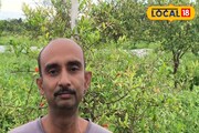 কলকাতার যুবকের দুর্দান্ত বিজনেস আইডিয়া! পুরুলিয়ার রুক্ষ মাটিতেই ফলাচ্ছেন 'এইসব' ফল