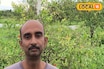 কলকাতার যুবকের দুর্দান্ত বিজনেস আইডিয়া! পুরুলিয়ার রুক্ষ মাটিতেই ফলাচ্ছেন 'এইসব' ফল