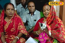 এই বাড়িতে পোষ্য বিড়ালের জন্য আলাদা আসন, আরাধনা! পুরোটা জানলে অবাক হবেন