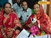 এই বাড়িতে পোষ্য বিড়ালের জন্য আলাদা আসন, আরাধনা! পুরোটা জানলে অবাক হবেন