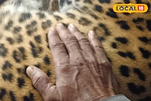 Bankura Leopard : হাতির পর এবার আরও 'বড় আতঙ্ক' বাঁকুড়ায়, রাস্তার পাশে উদ্ধার লেপার্ডের দেহ! সঙ্গীর খোঁজে রাতেই শুরু তল্লাশি