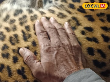 লেপার্ড