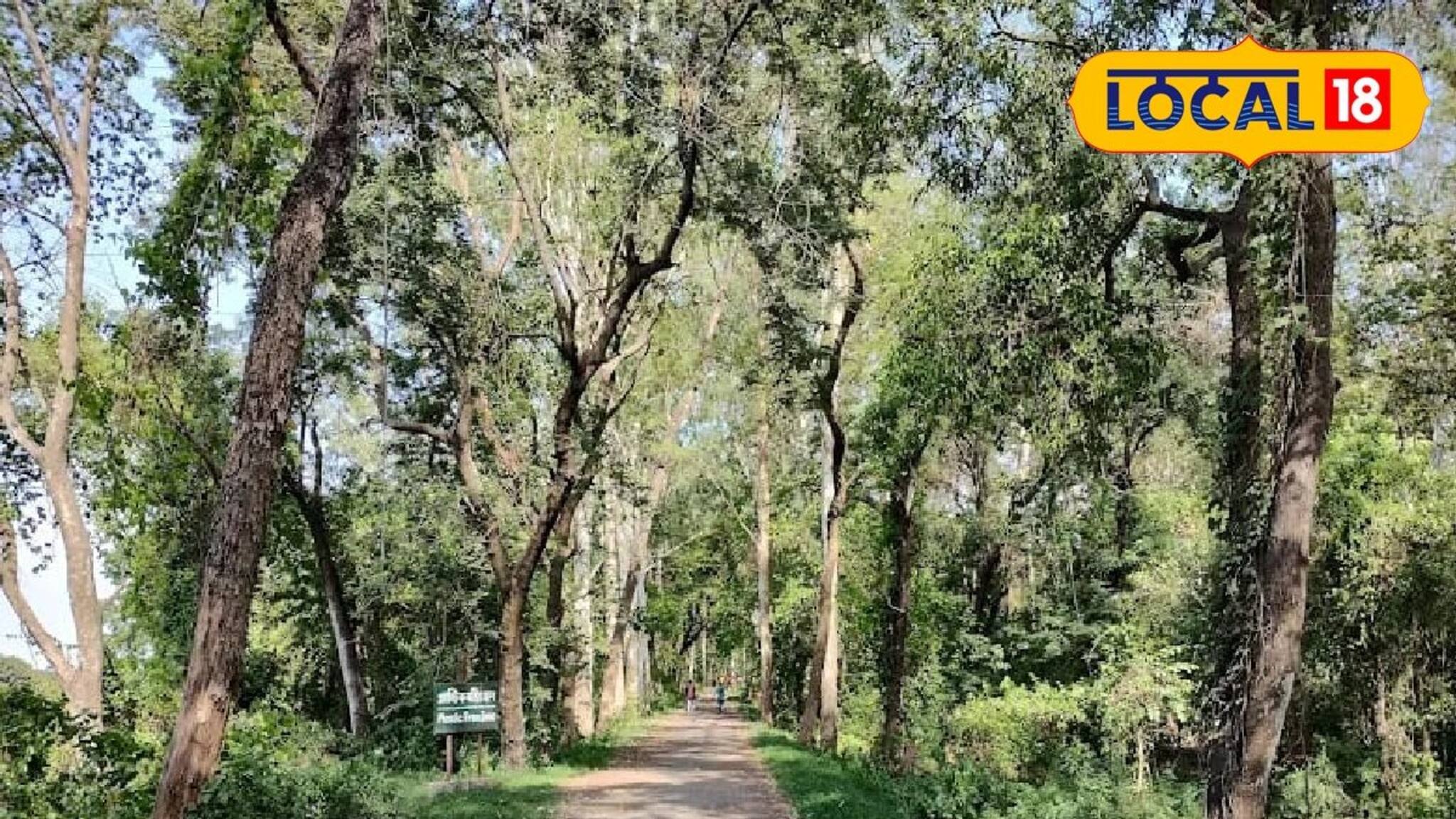 উত্তরবঙ্গের পাহাড়ে বিপর্যয়, সপ্তাহান্তে কোথায় যাবেন ঘুরতে? জানুন নতুন ঠিকানা