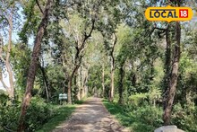 Weekend Trip: উত্তরবঙ্গের পাহাড়ে বিপর্যয়, সপ্তাহান্তে কোথায় যাবেন ঘুরতে? চিন্তা ভুলে ঢুঁ মারুন স্বপ্নের মতো সুন্দর নিরিবিলি 'এই' জঙ্গলে