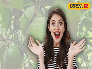 মুসাম্বি